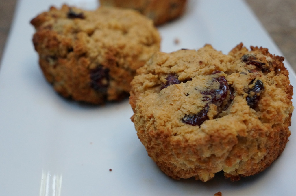 Cran Apple Paleo Muffins