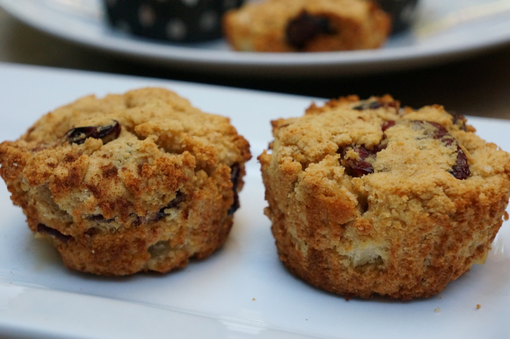 Cran Apple Paleo Muffins