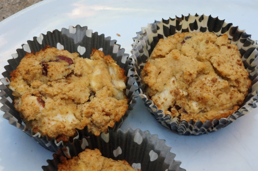 Cran Apple Paleo Muffins